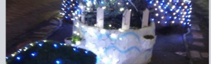 イルミネーション イルミネーション